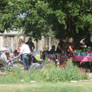 a group of people sitting at a park