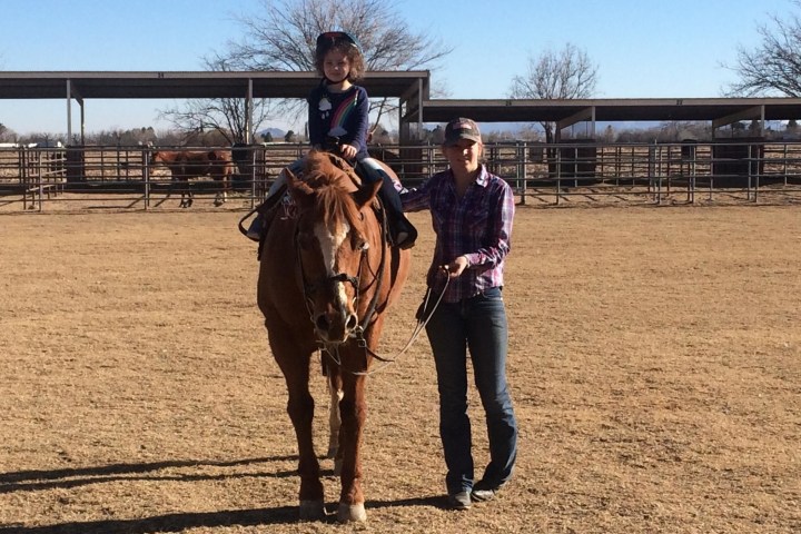 a person riding a horse in a dirt field