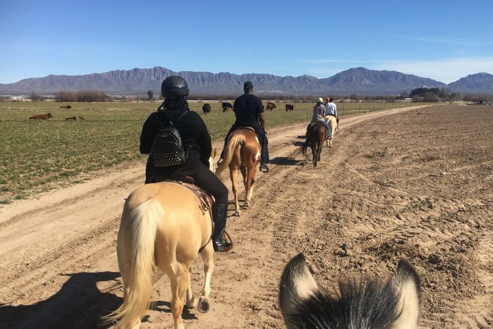 a man riding a horse on a dirt road