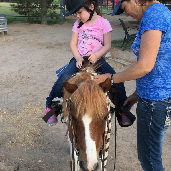 a girl petting a horse