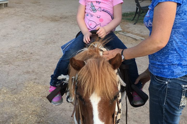a girl petting a horse