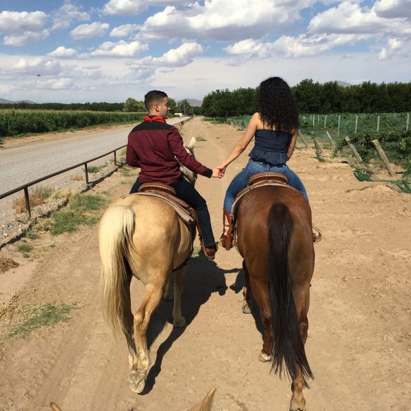 a man riding a horse on a dirt road