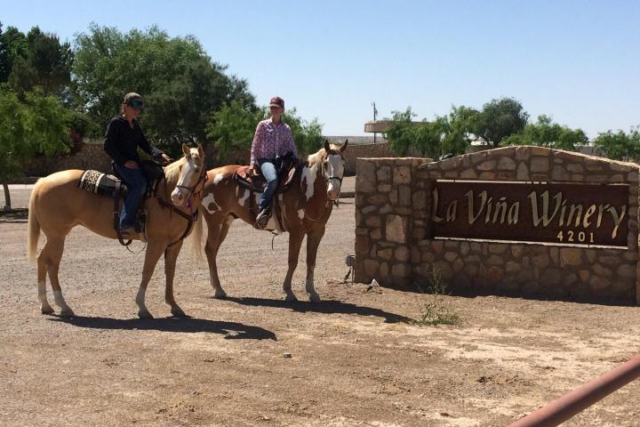 a man riding a horse