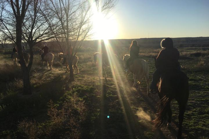 a group of people standing on top of a grass covered field