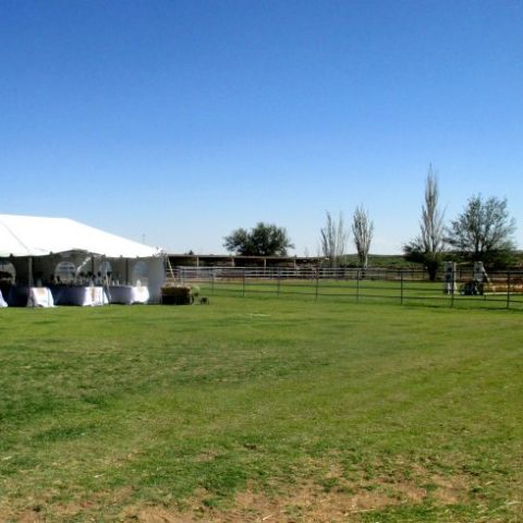 a tent in a grassy field