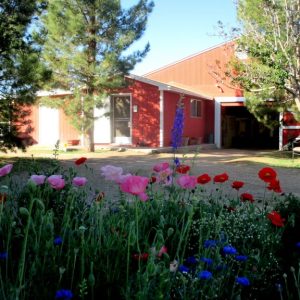 a colorful flower garden in front of a building