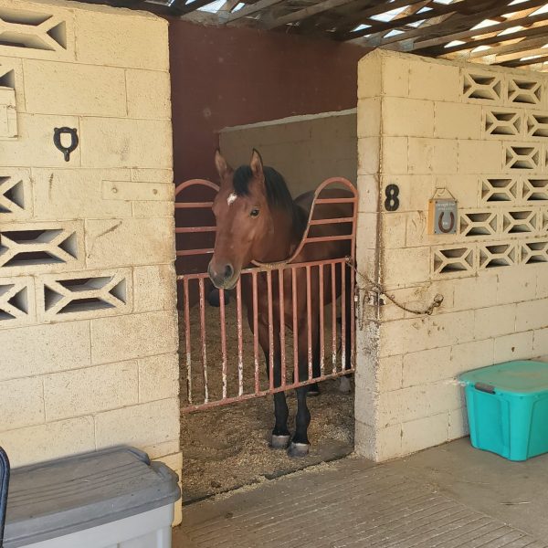 graffiti on the side of a building